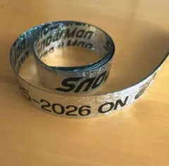 Item thumbnail for item 491e189a-8545-42b9-aab2-ecfe15e19290