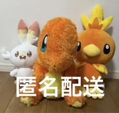 タグ付き ヒトカゲ アチャモ ヒバニー セット ぬいぐるみ ポケモン ポケピース