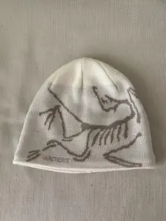 2026年最新】ARC'TERYX カラー：ホワイト系 ニット帽・ビーニーの人気