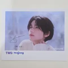 2026年最新】tws サイン チェキの人気アイテム - メルカリ
