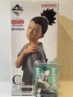 Item thumbnail for item 42629630-93cb-47fd-9677-3e537e002405