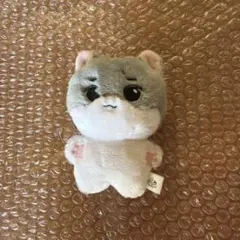 ENHYPEN ヒスン ぬいぐるみ 10cm 바밤뵤 マスター EVAN - メルカリ