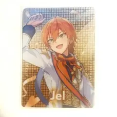 STPR Family Festival!! ランダムカードコレクション ジェル