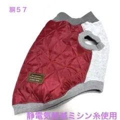 Item thumbnail for item 608ac9af-8a15-4ffa-a45a-027d36bdf7fe