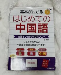 基本がわかる はじめての中国語 王婷婷 入門書