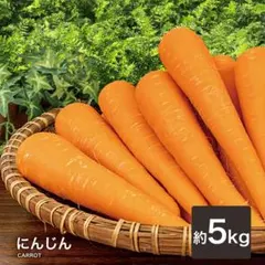 送料無料 にんじん ジュース用 人参 ニンジン 人参ジュース 5kg 国産のサムネイル