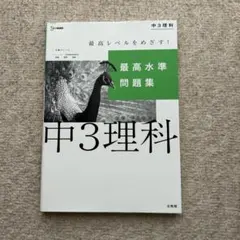 Item thumbnail for item ed3448ae-f2d2-4a4a-93bb-ebb497478bca