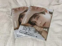 Item thumbnail for item 14582152-fe48-47e1-92ed-964a0fa2eb70