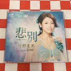 2026年最新】川野夏美の人気アイテム - メルカリ