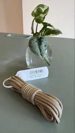 Item thumbnail for item e5c9af0d-b815-4c3c-93ac-e0b91b59ae90