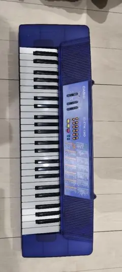 2026年最新】CASIO CTK-1100の人気アイテム - メルカリ