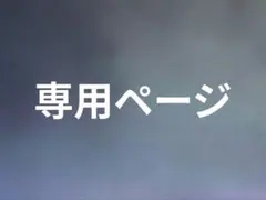専用ページ