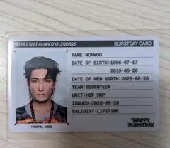 SEVENTEEN HAPPY BURSTDAY IDカード トレカ ウォヌ