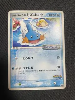 ポケパークのミズゴロウ 048/PCG-P プロモ 未開封 - メルカリ