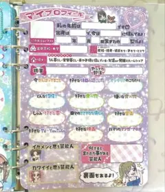 【送料無料】プロフィール帳の厚紙記入カード10枚組 大人の女性向け 平成レトロ