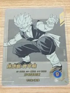 ドラゴンボールダイバーズ 孫悟飯：青年期N★パラレル 40th アドバンスパック