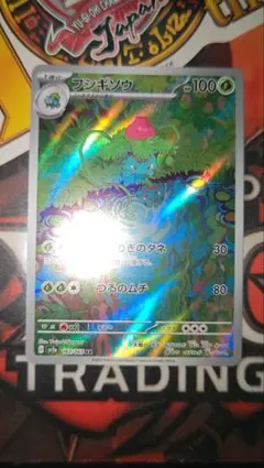 Sakamoto様 リクエスト 2点 まとめ商品