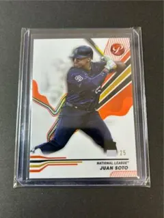 2025年最新】フアン・ソトの人気アイテム - メルカリ