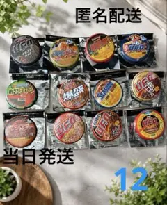 日清焼そばU.F.O. 歴代パッケージ缶バッジ 12種セットのサムネイル