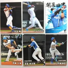 プロ野球チップス2025 北海道日本ハムファイターズ 9枚セット