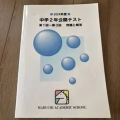 2026年最新】馬渕 公開テスト中学3の人気アイテム - メルカリ