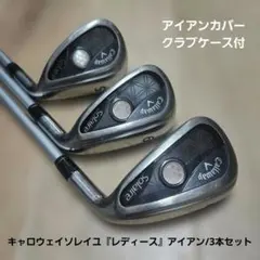 Item thumbnail for item dc11a2d6-406b-4d13-b1de-fb311bb554fa