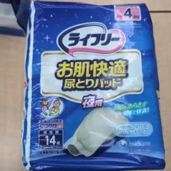 Item thumbnail for item dfb49f19-f210-42ac-8e4a-4138787137b1