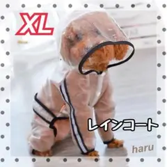 Item thumbnail for item 4266a514-43db-4a17-9ff8-5d7c0ff1ddfe