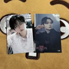 スキズdominATE 会場限定＋FCくじステッカー　リノ