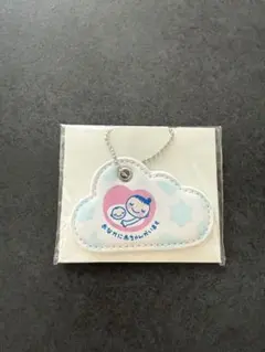 Item thumbnail for item 93800a5f-6a6c-4aaf-bfb3-a86fec9e0c27