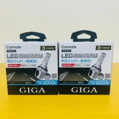 GIGA LEDヘッド＆フォグバルブ BW592【新品・未使用】 - メルカリ