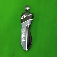 Item thumbnail for item 0475ee16-1e7a-4bf4-9841-98a82a6ee96b