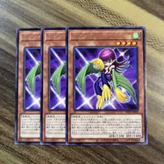 遊戯王　トゥーンハーピィレディ　字レア３枚セット