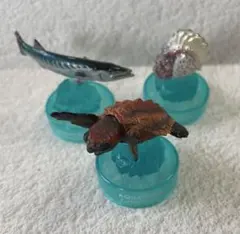 海洋堂 海洋生物 ボトルキャップ 3種のサムネイル