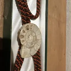 Item thumbnail for item 90555420-e72a-4c13-b6ae-052396356e03