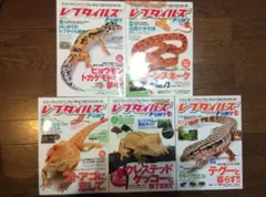 2026年最新】ビバリウムガイドの人気アイテム - メルカリ