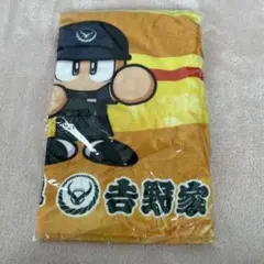 Item thumbnail for item 68d381c9-915f-4b41-8358-76de6952628a