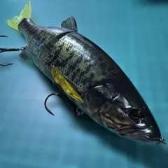 ダウズスイマー 220SF ②のサムネイル
