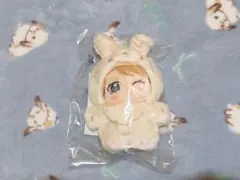 ナカまであいして 猫耳ポンチョ付きぬいぐるみ 常盤 - メルカリ