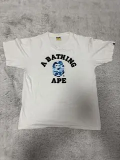 エイプ カレッジロゴ Tシャツ Lサイズ カモフラ アーチロゴ 紫迷彩 
