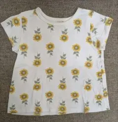 Item thumbnail for item 13ed6169-77c1-4c83-8b15-25e6065ac0be