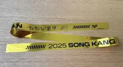 ソンガン ファンミ 11/23 銀テープ 金テ