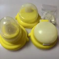 Item thumbnail for item bc652f15-fa99-4bb5-9624-f2847cb48c95