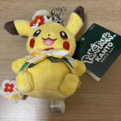 PokePark KANTO ピカチュウ マスコット ぬいぐるみ - メルカリ