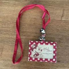 ディズニーリゾート ミニー パスポートケース パスケース