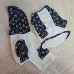 Item thumbnail for item 45fa0667-9a50-47ed-a24a-f50cd39b6489