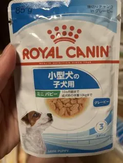 Item thumbnail for item 47735537-46c5-4130-bcc8-6840933af9e1