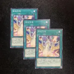 遊戯王　汎用魔法　トラップ 汎用性の高い永続罠カードまとめ！【遊戯王】