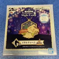【未開封】ポケモン　 Night Camp メタルチャーム　一番くじG賞