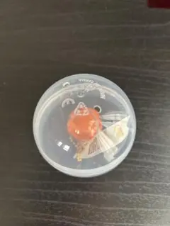 三代目JSB KINGDOM 会場限定ガチャ　NAOTO キーホルダー